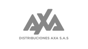 Internet Distribuciones Axa